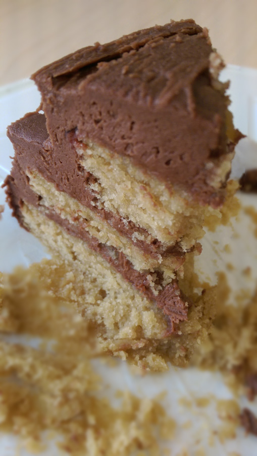 Raspberry Layer Cake with Nutella Frosting