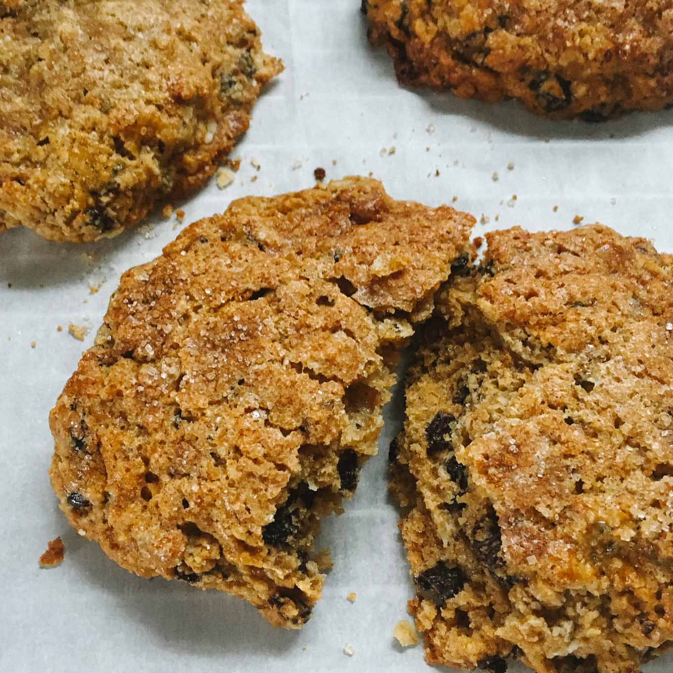 Currant-Oat Paddles