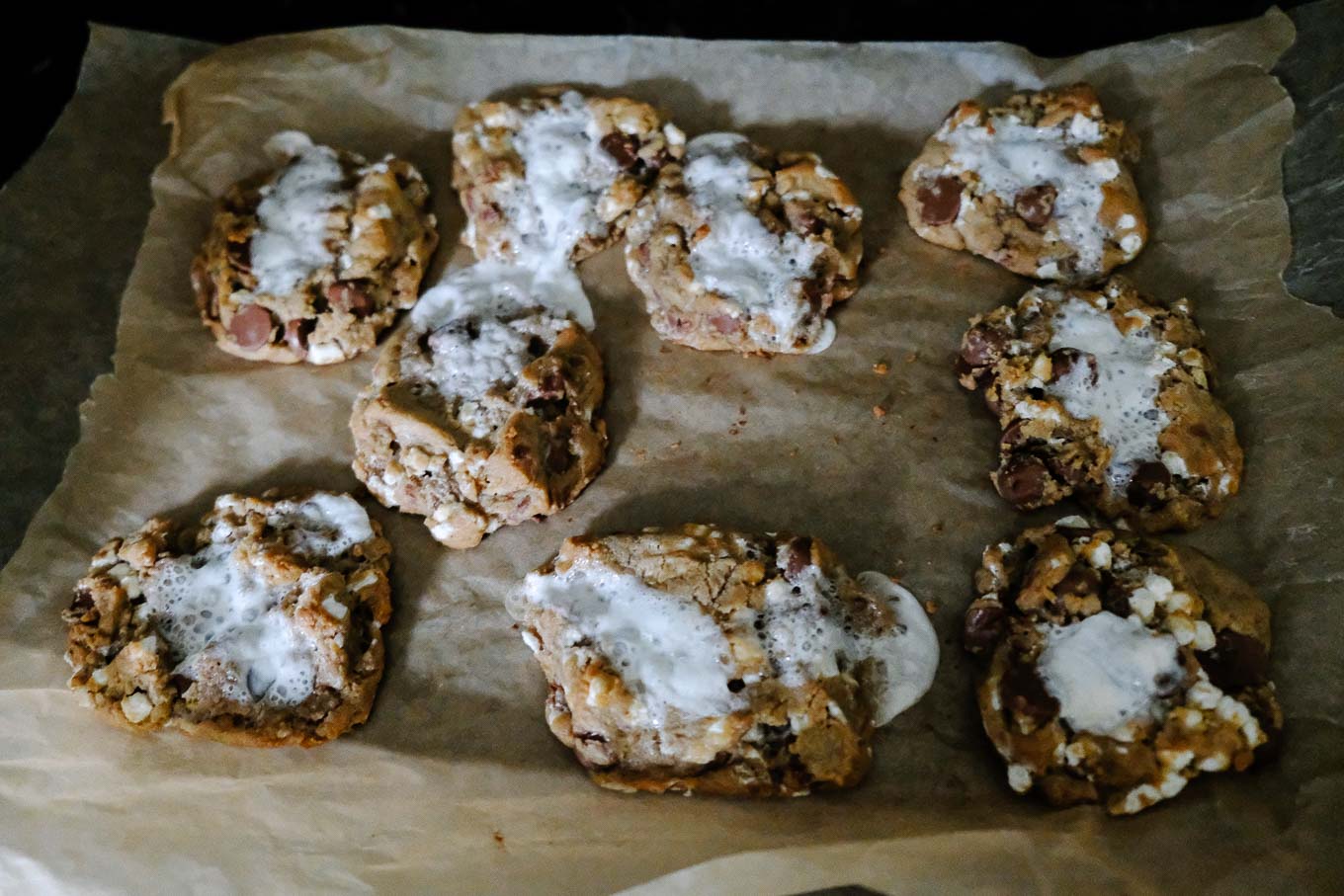 Soft s'mores cookies | the Tastiest Book