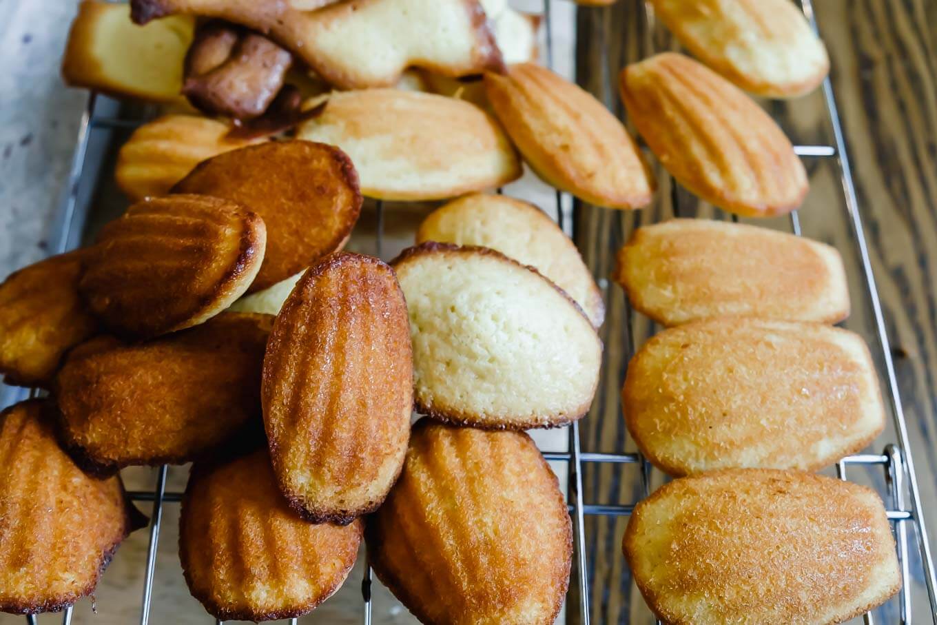 Vanilla madeleines